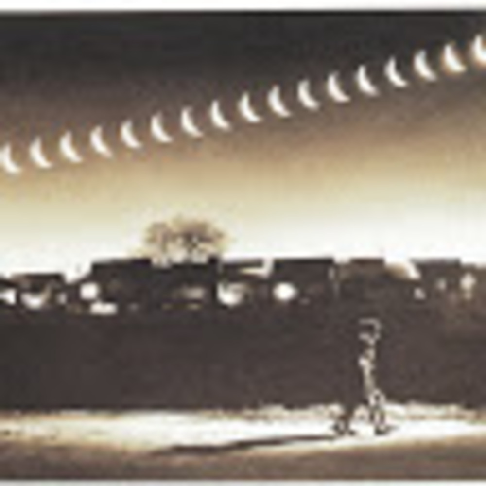 Meet your Posher, Suzanne